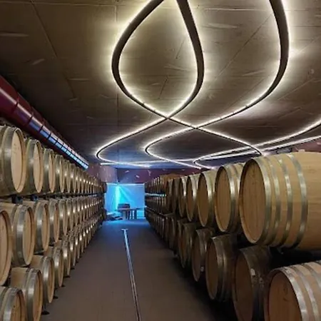 Moderno E Confortevole Appartamento, Wi-fi E Parcheggio Gratuito