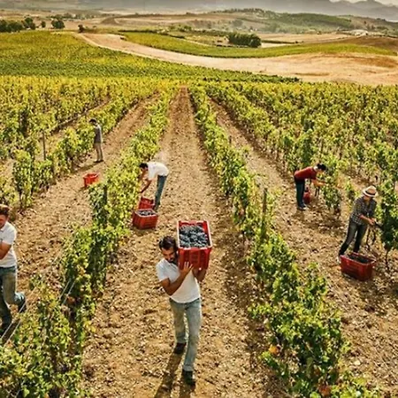 דירה Moderno E Confortevole Appartamento, Wi-fi E Parcheggio Gratuito