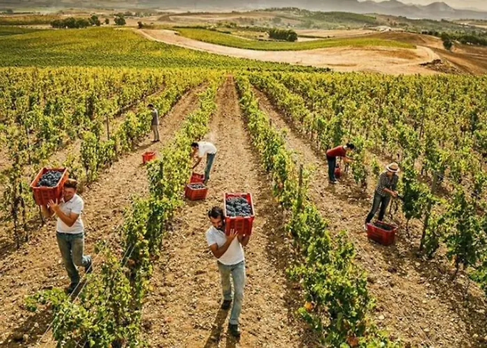 公寓 Moderno E Confortevole Appartamento, Wi-fi E Parcheggio Gratuito